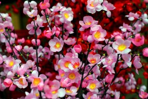 iStock_000033278022_Medium