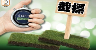 大埔地截標：共17標書　平區內最多標書紀錄